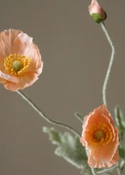Flower stems