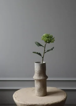 Flower stems