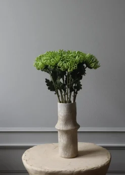 Flower stems