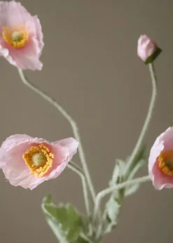 Flower stems