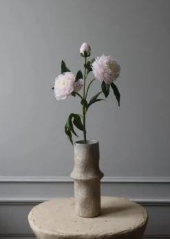Flower stems