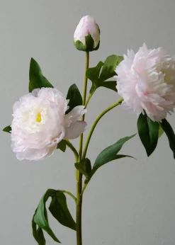 Flower stems
