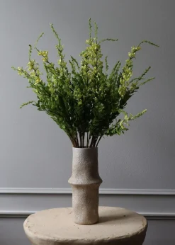 Flower stems