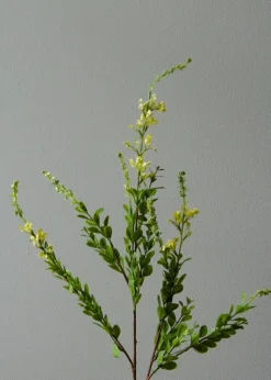 Flower stems