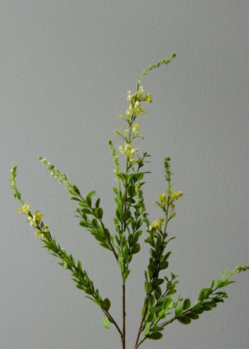 Flower stems