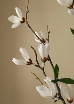 Flower stems
