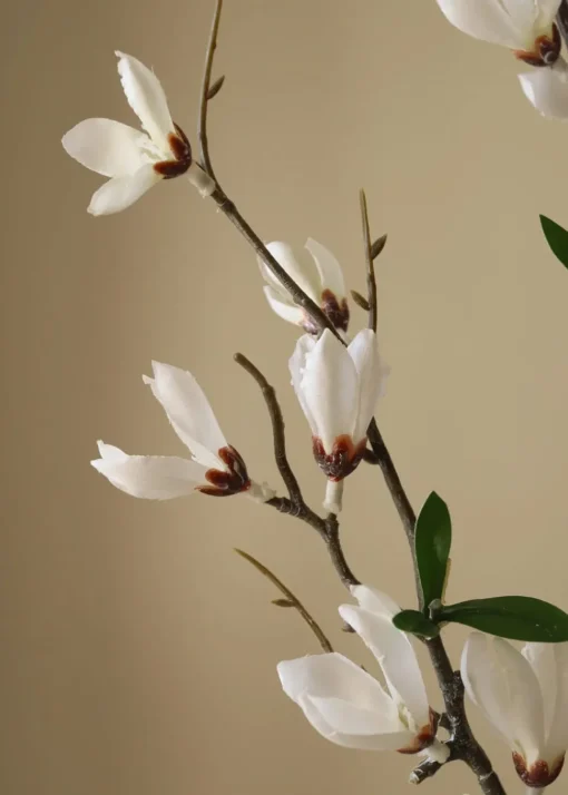 Flower stems