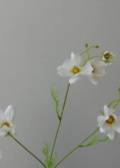 Flower stems