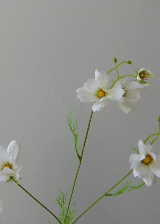 Flower stems