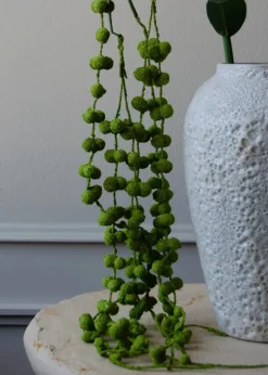 Flower stems