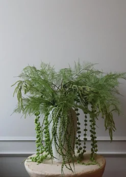 Flower stems