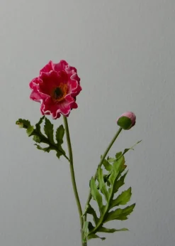 Flower stems