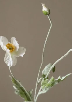 Flower stems