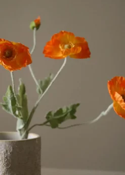 Flower stems