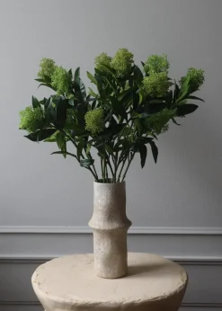 Flower stems