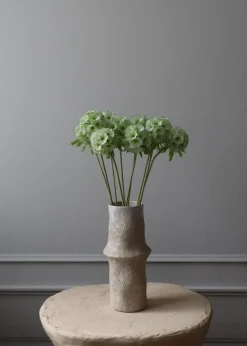 Flower stems