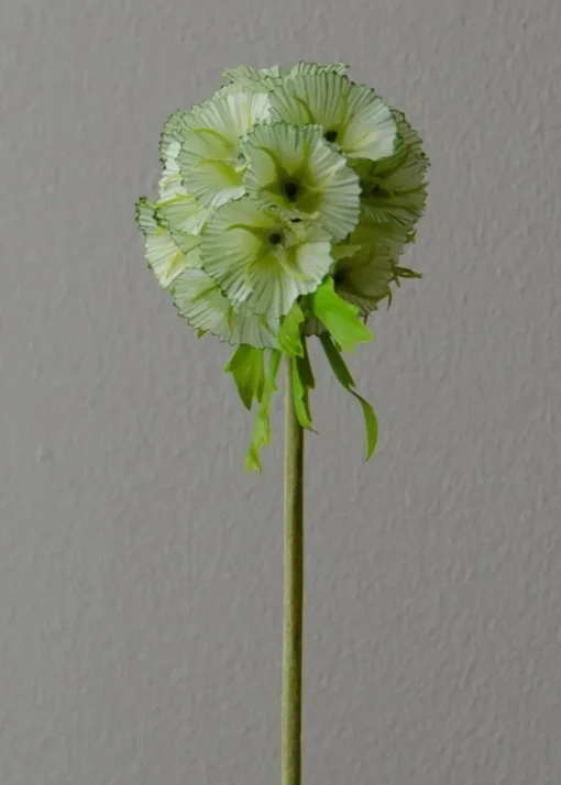 Flower stems
