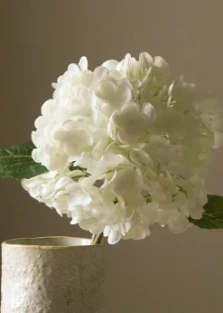 Flower stems