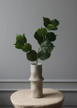 Flower stems