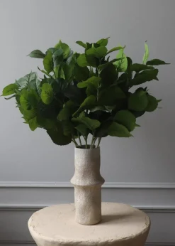 Flower stems