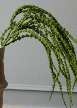 Flower stems