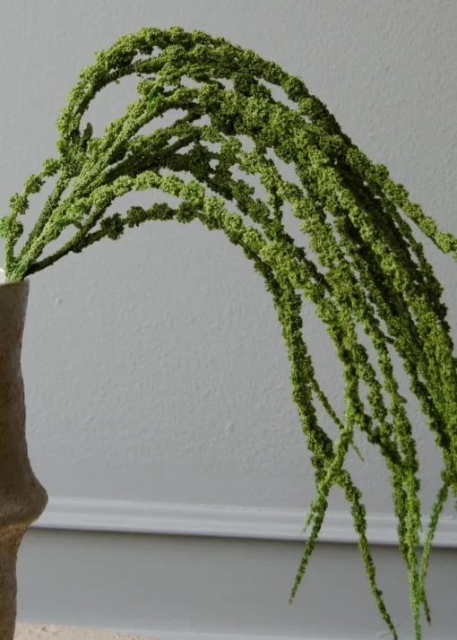 Flower stems