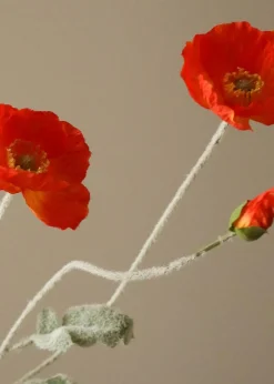 Flower stems