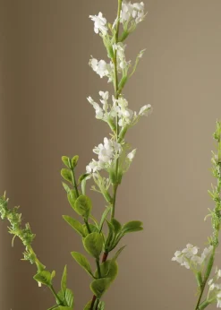 Flower stems