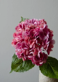 Flower stems