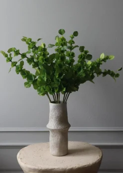 Flower stems