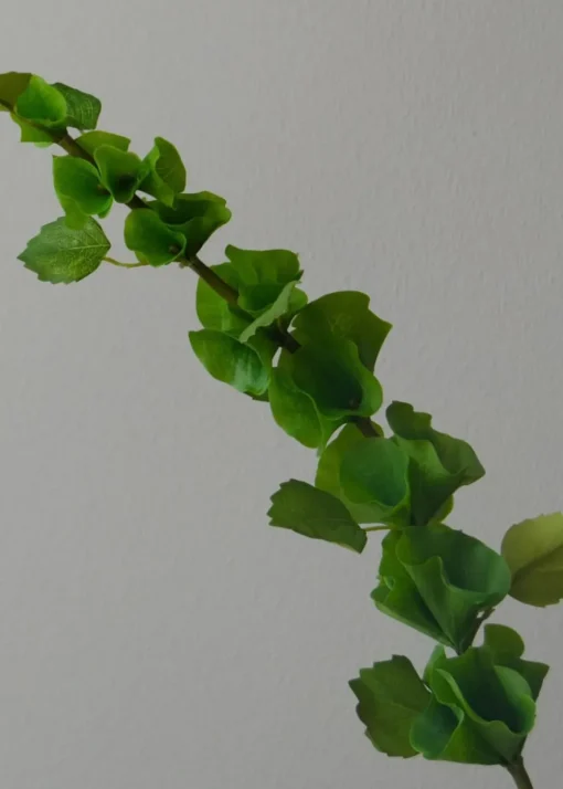 Flower stems
