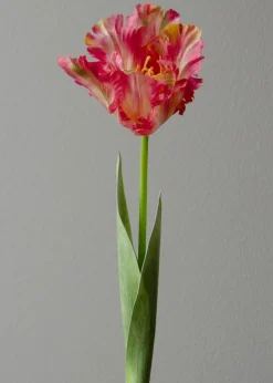 Flower stems