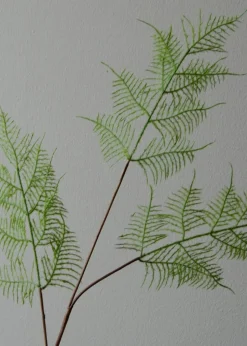 Flower stems