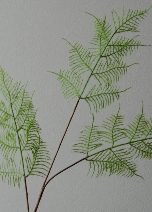 Flower stems
