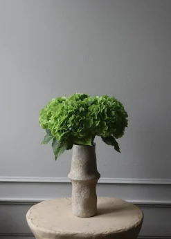 Flower stems