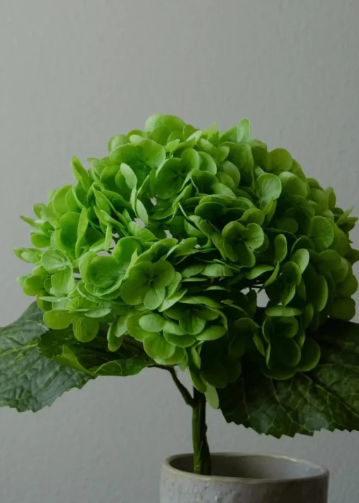 Flower stems