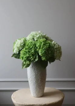Flower stems