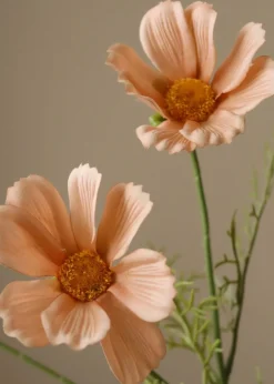 Flower stems