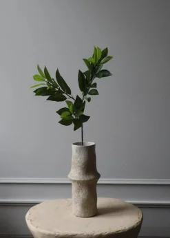 Flower stems