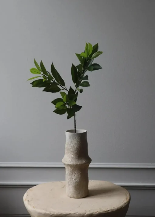 Flower stems