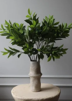 Flower stems