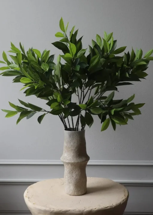 Flower stems