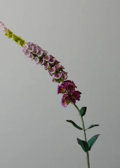 Flower stems