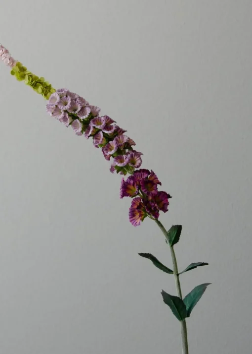 Flower stems