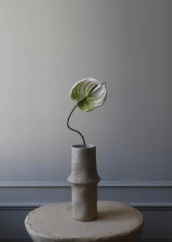 Flower stems