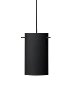 FM1954 Pendant