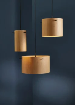 FM1954 Veneer Pendant