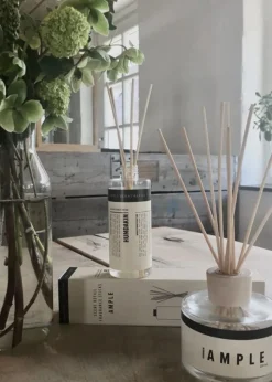 Fragrance sticks