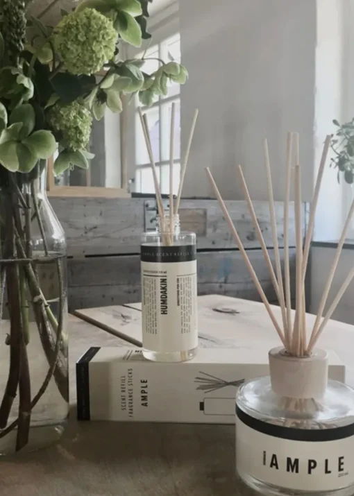Fragrance sticks