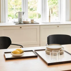 Frame Tray